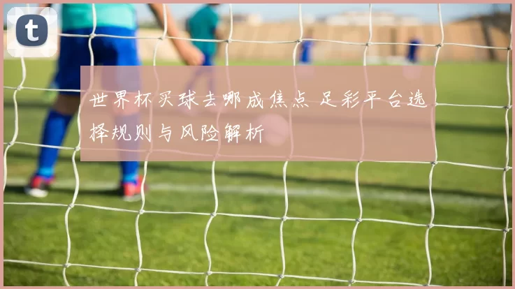 世界杯买球去哪成焦点 足彩平台选择规则与风险解析