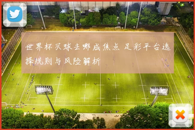世界杯买球去哪成焦点 足彩平台选择规则与风险解析