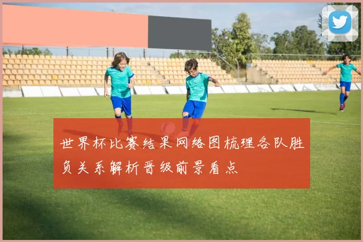 世界杯比赛结果网络图梳理各队胜负关系解析晋级前景看点