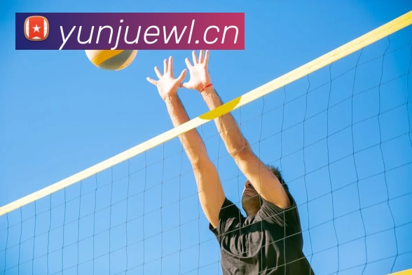 ng电子游戏·(中国区)官方网站APP 封面图